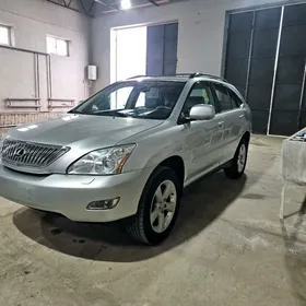 Lexus RX 330 2004
