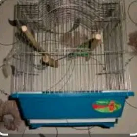 Клетка для попугая