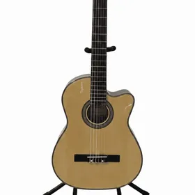 ГИТАРА GITARA PAKET TOKLY