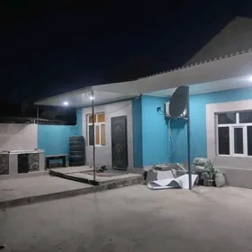 Багир дом от хозяина