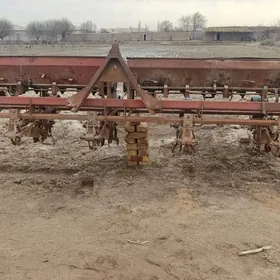 Tohum ekýan enjam (sealka)