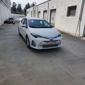 Toyota Corolla 2016