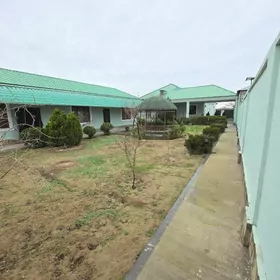 Anew Magtymguly plan