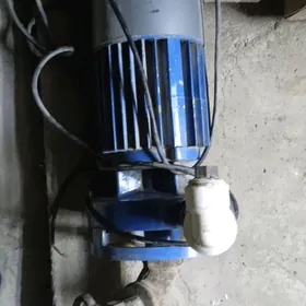 Вадиной Насос Российский