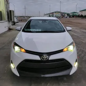 Toyota Corolla 2019
