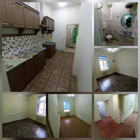 Mary-Şäher-Satlyk-Jay-Zelyonny