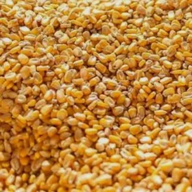 dollar patrak mekge tohumlyk