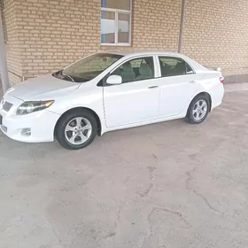 Toyota Corolla 2010