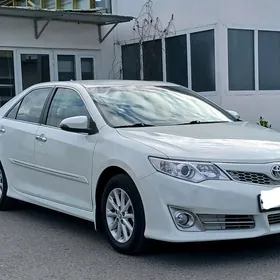 Toyota Camry 2011