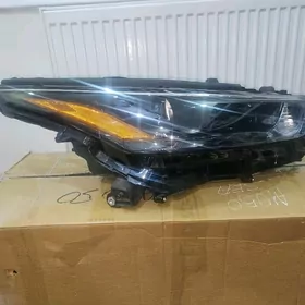 Highlander fara original