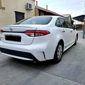 Toyota Corolla 2021