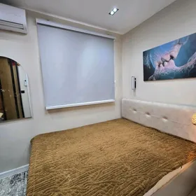 Kemine Köç., Full Kwartira