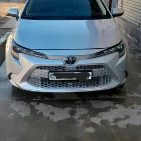 Toyota Corolla 2021