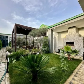 Coganly Kotež! Hay-Tek. 5Kom