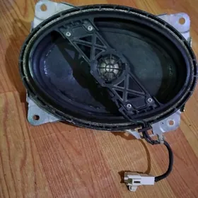 kalonka govy aydyp dur