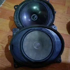 kalonka govy aydyp dur