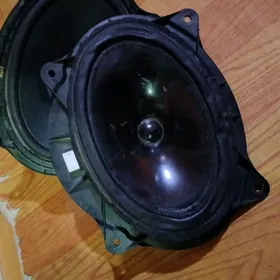 kalonka govy aydyp dur