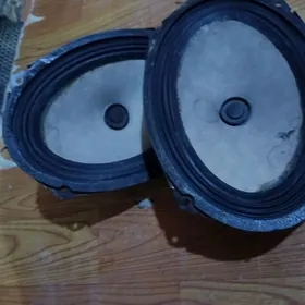 kalonka govy aydyp dur