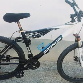 26 dag tigir amortizator