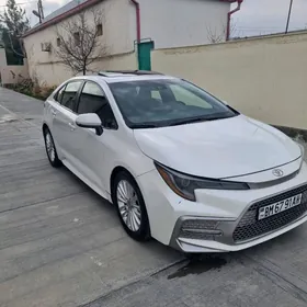 Toyota Corolla 2020