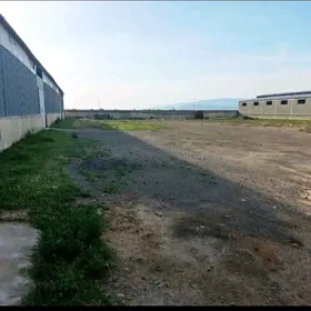 Бугдайлы 1 гектар онумчилик