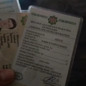 Teh paspor Babayewa Gurbangul