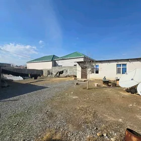 Coganly PlanJay! 6sotyk