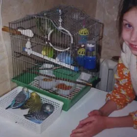 popugay sowgatlyk guslar