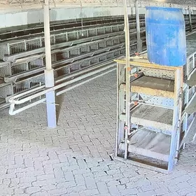 towuk saklanýan kletka