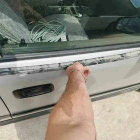 Astra ji zapcastlary