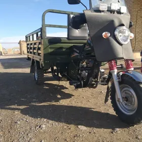 Fekon FK200-14G 2025