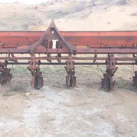 azal tohum ekýan joýa çekýan