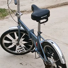 КАМА ТИГИР.