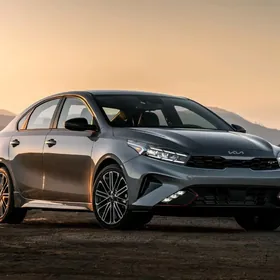 Gunlik gerek  maşyn gözleýän