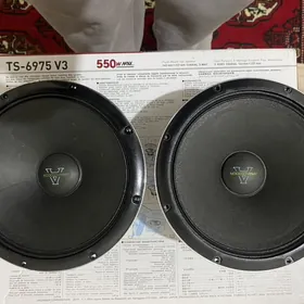 Арнольд   калонка