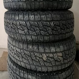 235.65.18.Gowy ýagdaÿda