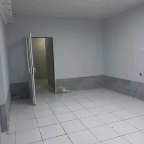 ARENDA POL-PODWAL MIR7/1