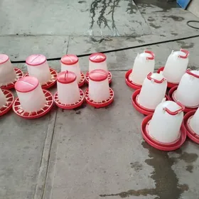 karmuska iym berlyan