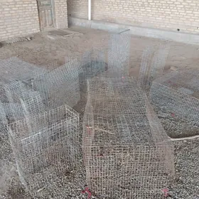 öy hojalygy tavuk  setkasy