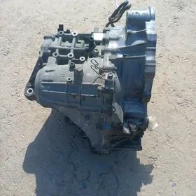 Karopga Duty kemri tayyn