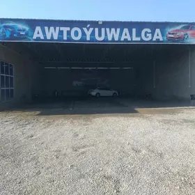 Awtoyuwujy awtomoyshik moyshik