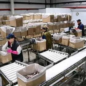 zawoda gaplaýjy gyzlar