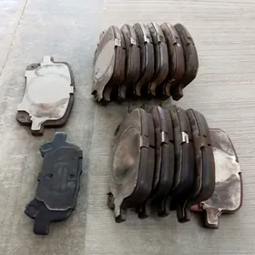 Kalotka Awalon morda