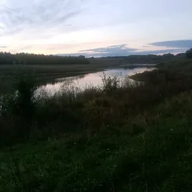 бош меллек муход