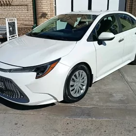 Toyota Corolla 2020