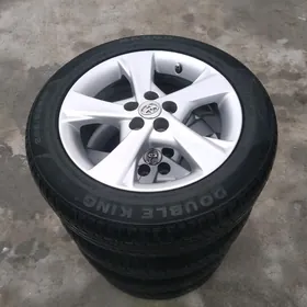 Karola disga argynal 16.