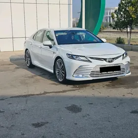Toyota Camry 2019