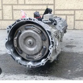 TOUAREG KOROPKA MORDA