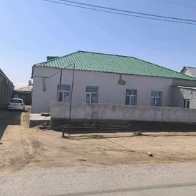 saly jaý ânew matym guluy 12 k