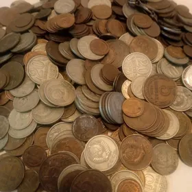 монеты